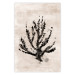 Wall Poster Sea Plant - black plant composition on a beige textured background 134510