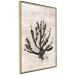 Wall Poster Sea Plant - black plant composition on a beige textured background 134510 additionalThumb 12