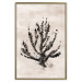 Wall Poster Sea Plant - black plant composition on a beige textured background 134510 additionalThumb 17
