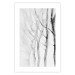 Poster Path to Nature - abstract composition of black trees on a white background 134810 additionalThumb 25