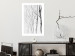 Poster Path to Nature - abstract composition of black trees on a white background 134810 additionalThumb 7