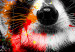 Round Canvas Raccoon - Friendly Animal in Juicy Colors on a Black Background 148610 additionalThumb 3