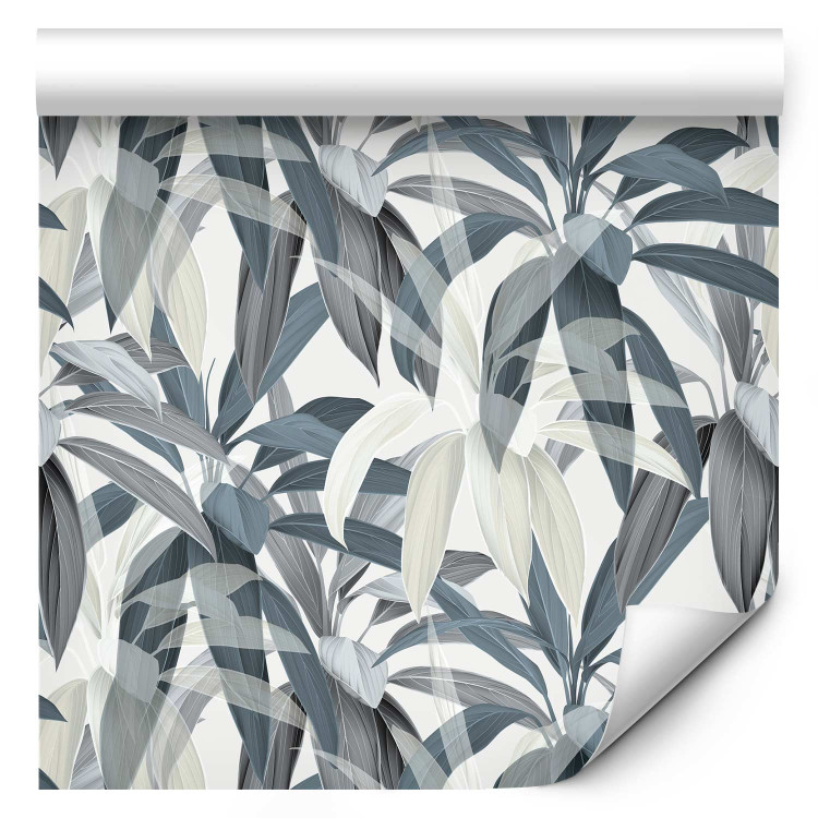 Modern Wallpaper Drawing of Nature - Blue-Gray Cordylina Leaves on a White Background 149910 additionalImage 6