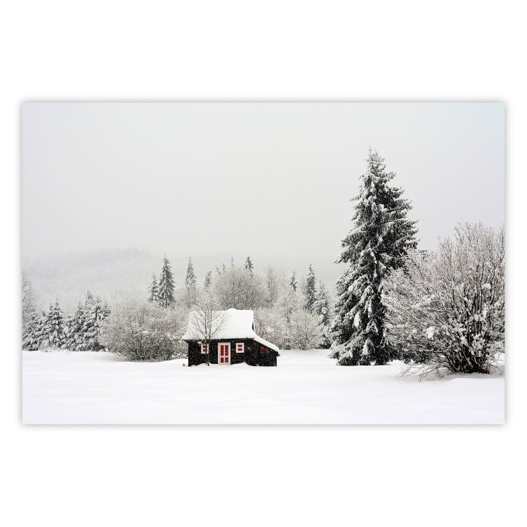 Poster Winter Shelter - A Small House in the Midst of a Snow-Covered Forest 151710