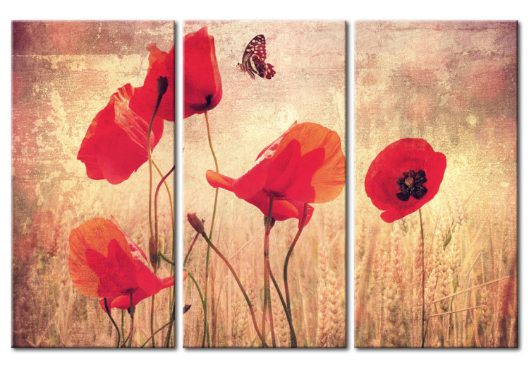 Canvas Art Print Vintage poppies 58510