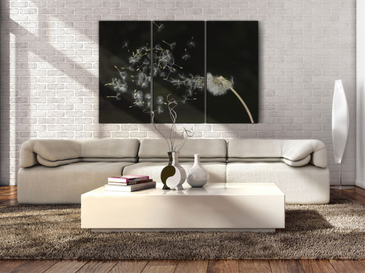 Canvas Print Dandelions- the transience 58610 additionalImage 3