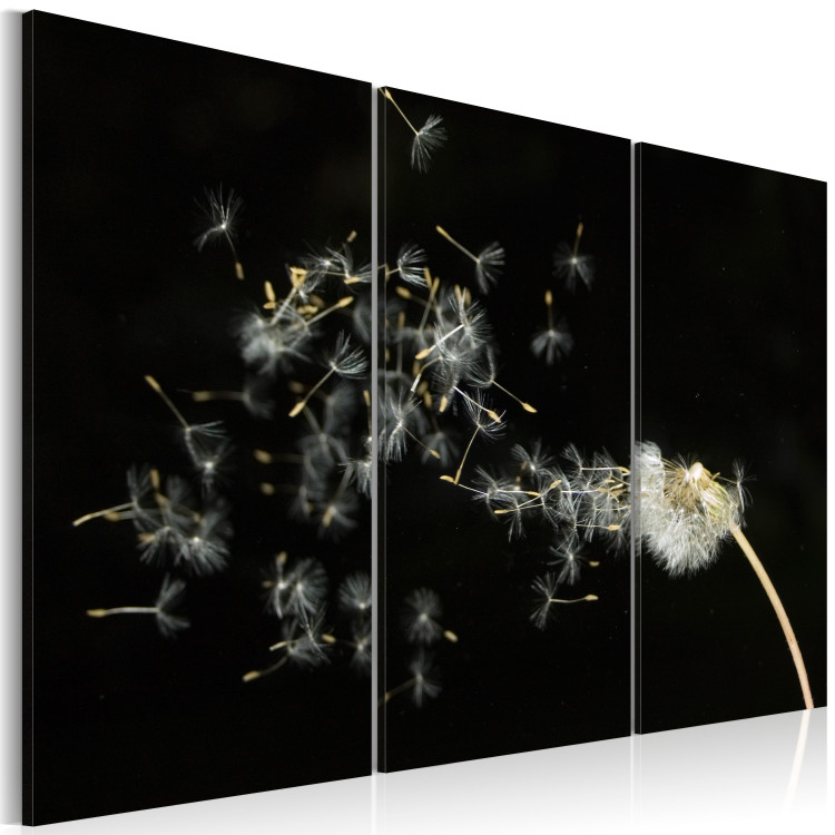 Canvas Print Dandelions- the transience 58610 additionalImage 2