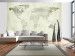Wall Mural Green continents 60110