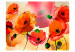Photo Wallpaper Velvety Poppies - Abstraction of Poppy Flowers in Energetic Colours 60410 additionalThumb 1