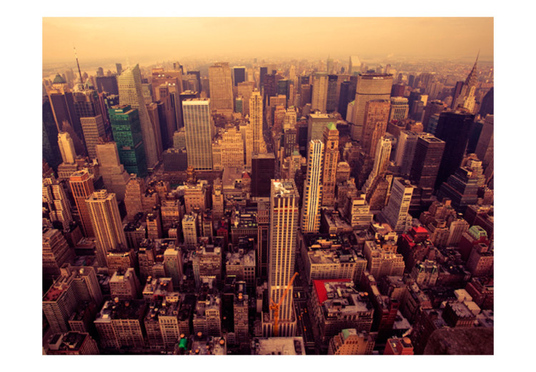 Photo Wallpaper Bird's Eye View of Manhattan - New York Architecture in Gentle Sunlight 61510 additionalImage 1