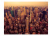 Photo Wallpaper Bird's Eye View of Manhattan - New York Architecture in Gentle Sunlight 61510 additionalThumb 1