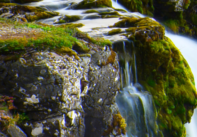 Canvas Art Print Wonderful Iceland (5-piece) - Waterfall amidst Green Landscape 105620 additionalImage 5