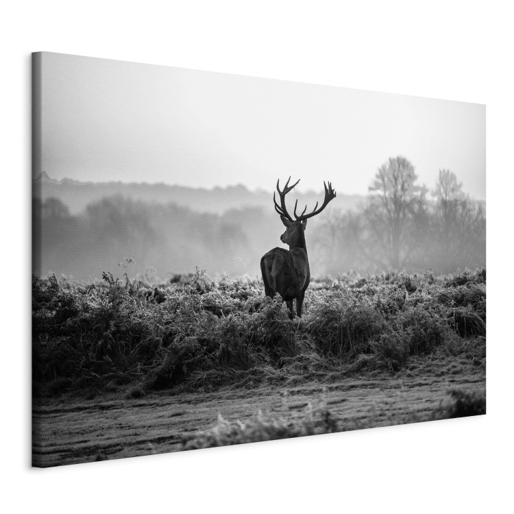 Canvas Art Print Deer in the Wild 106020 additionalImage 2