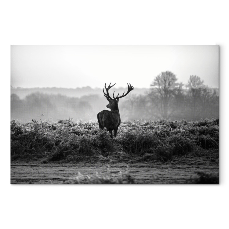 Canvas Art Print Deer in the Wild 106020 additionalImage 7