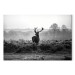 Canvas Art Print Deer in the Wild 106020 additionalThumb 7