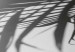 Poster Twig shadow - geometric abstraction with a palm leaf and green hue 115120 additionalThumb 8