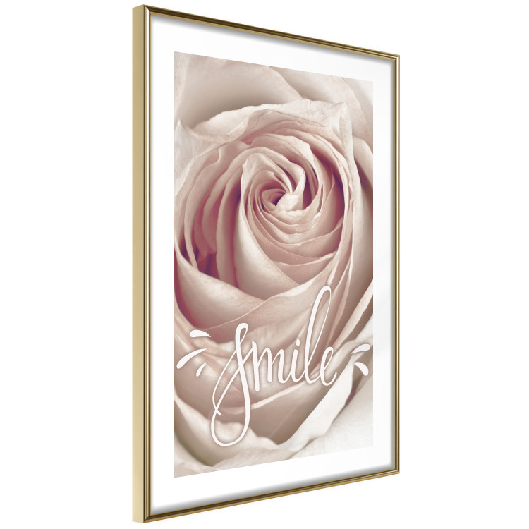Wall Poster Smile! - light pink rose flower and white English text 116520 additionalImage 6