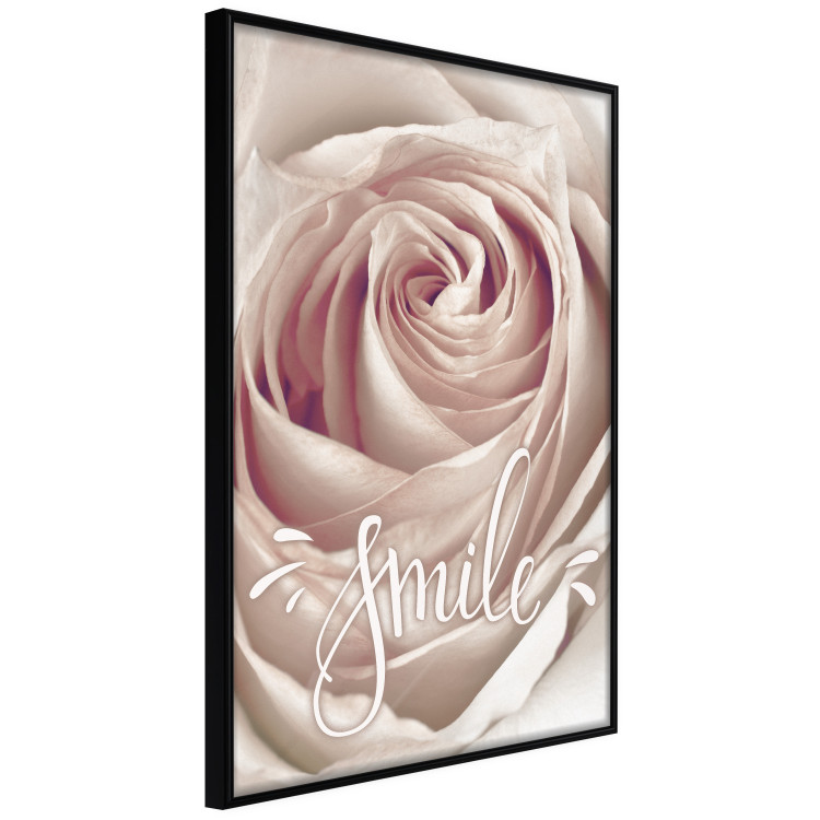 Wall Poster Smile! - light pink rose flower and white English text 116520 additionalImage 10