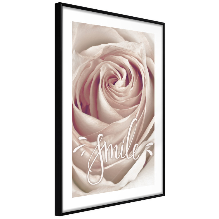 Wall Poster Smile! - light pink rose flower and white English text 116520 additionalImage 11