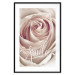 Wall Poster Smile! - light pink rose flower and white English text 116520 additionalThumb 15