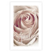 Wall Poster Smile! - light pink rose flower and white English text 116520 additionalThumb 19