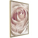 Wall Poster Smile! - light pink rose flower and white English text 116520 additionalThumb 12