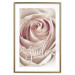Wall Poster Smile! - light pink rose flower and white English text 116520 additionalThumb 14