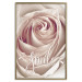 Wall Poster Smile! - light pink rose flower and white English text 116520 additionalThumb 16