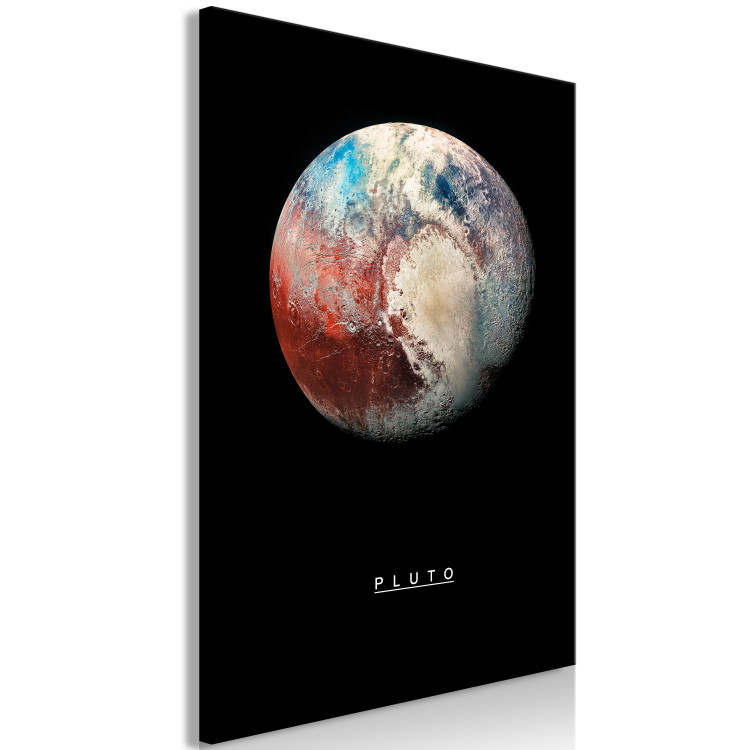 Canvas Pluto (1 Part) Vertical 116720 additionalImage 2