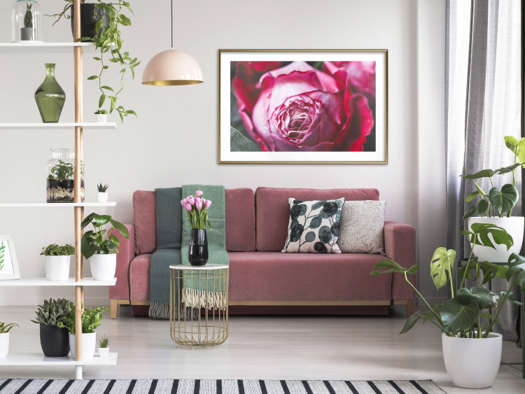 Poster Rose Geometry - composition with intense-colored rose petals 117220 additionalImage 13