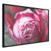 Poster Rose Geometry - composition with intense-colored rose petals 117220 additionalThumb 10