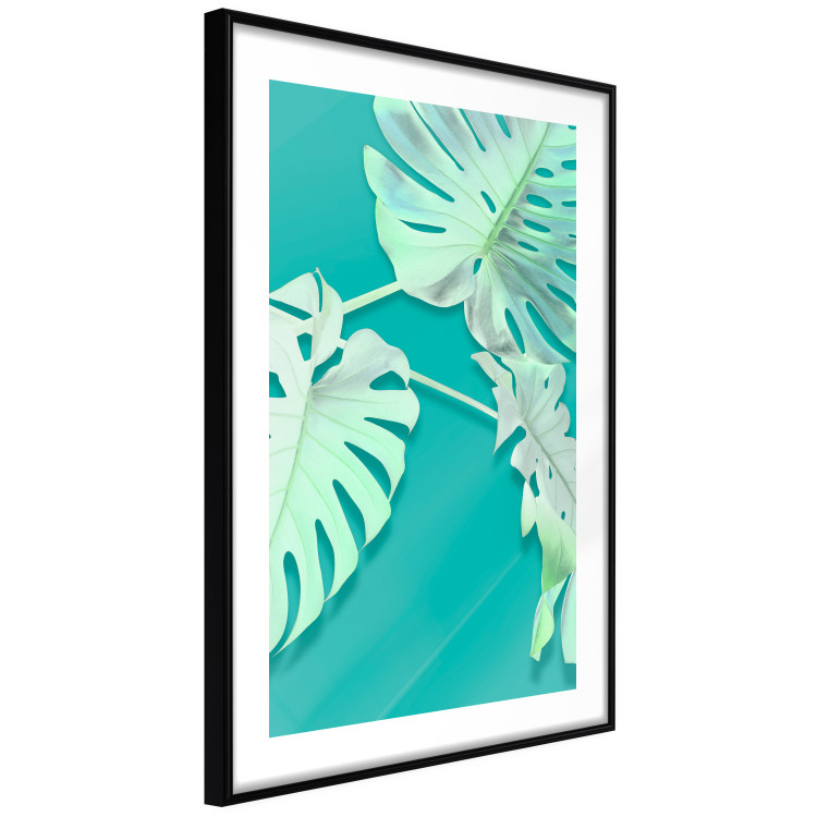 Wall Poster Mint Monstera - green monstera leaves on a mint-colored background 122620 additionalImage 10