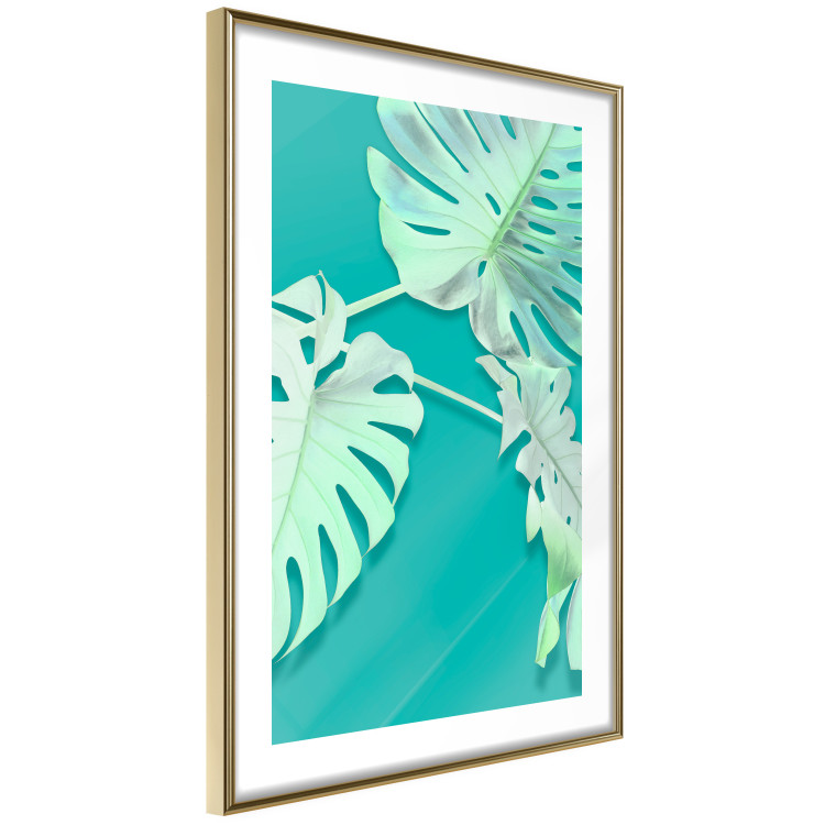 Wall Poster Mint Monstera - green monstera leaves on a mint-colored background 122620 additionalImage 7