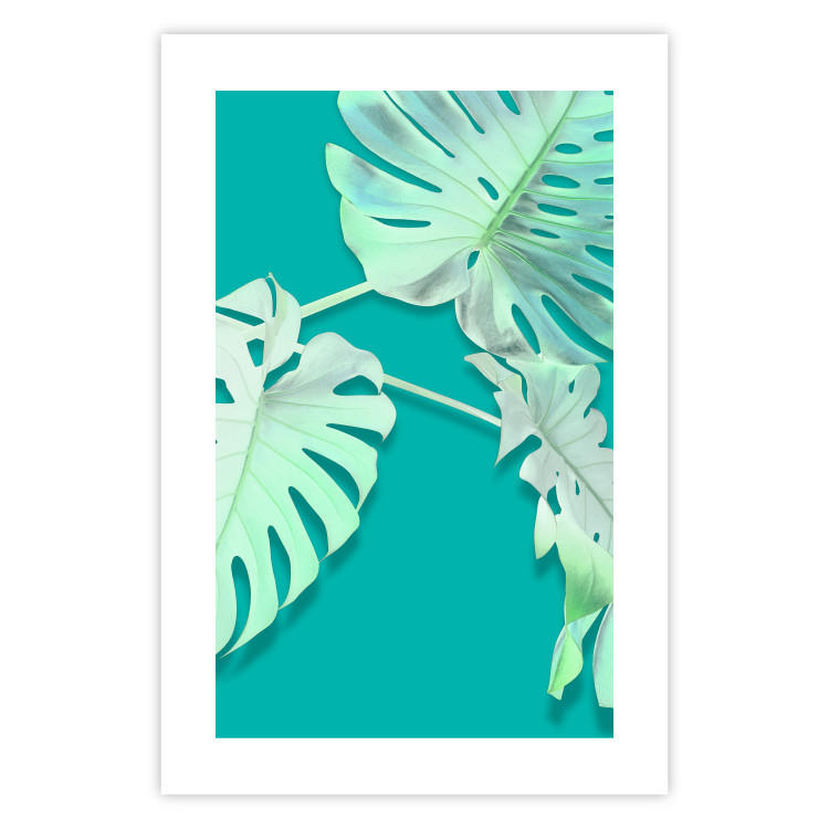 Wall Poster Mint Monstera - green monstera leaves on a mint-colored background 122620 additionalImage 24