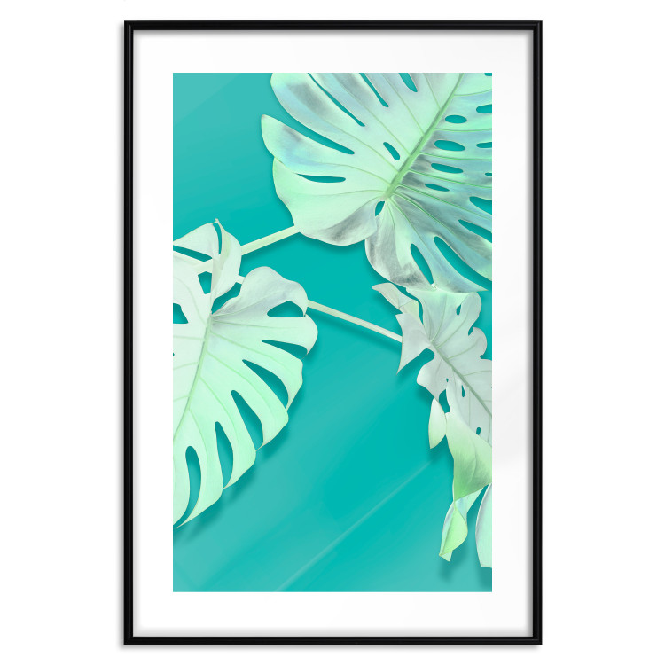 Wall Poster Mint Monstera - green monstera leaves on a mint-colored background 122620 additionalImage 14