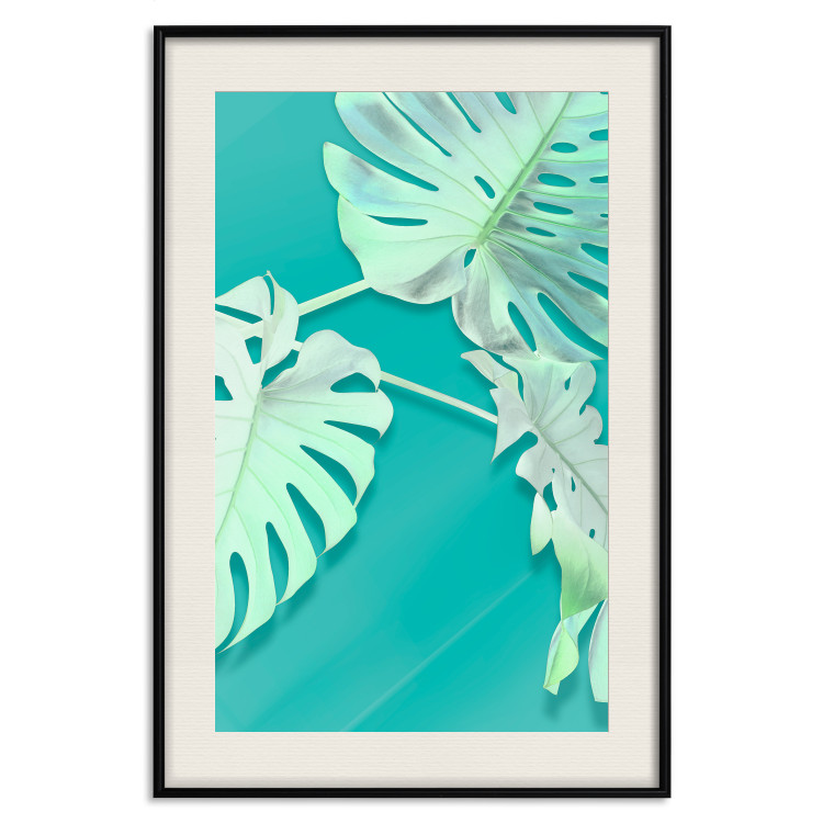 Wall Poster Mint Monstera - green monstera leaves on a mint-colored background 122620 additionalImage 19