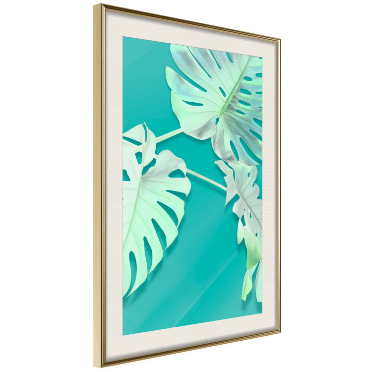 Wall Poster Mint Monstera - green monstera leaves on a mint-colored background 122620 additionalImage 2