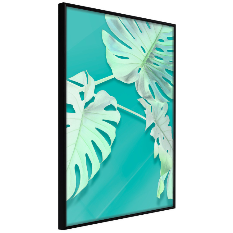 Wall Poster Mint Monstera - green monstera leaves on a mint-colored background 122620 additionalImage 9