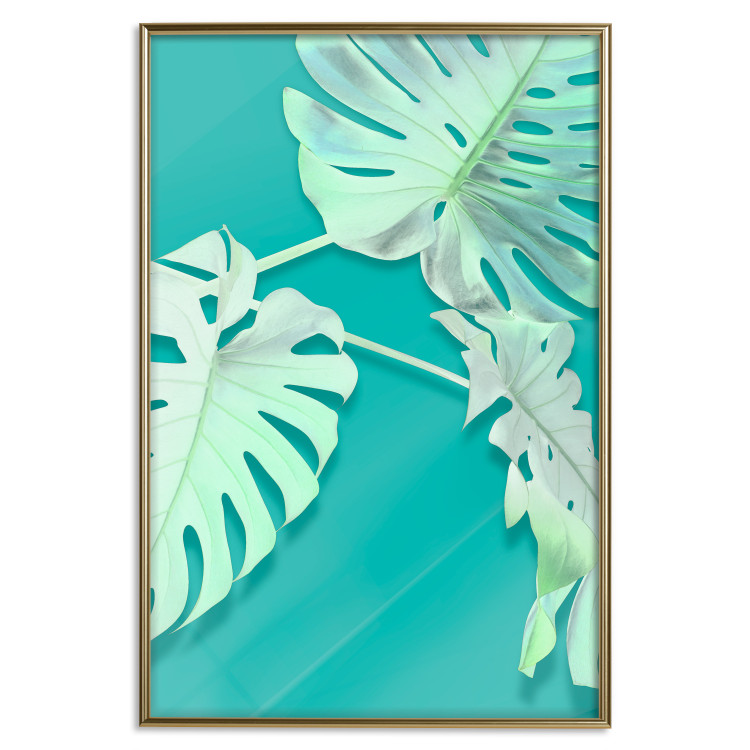 Wall Poster Mint Monstera - green monstera leaves on a mint-colored background 122620 additionalImage 17