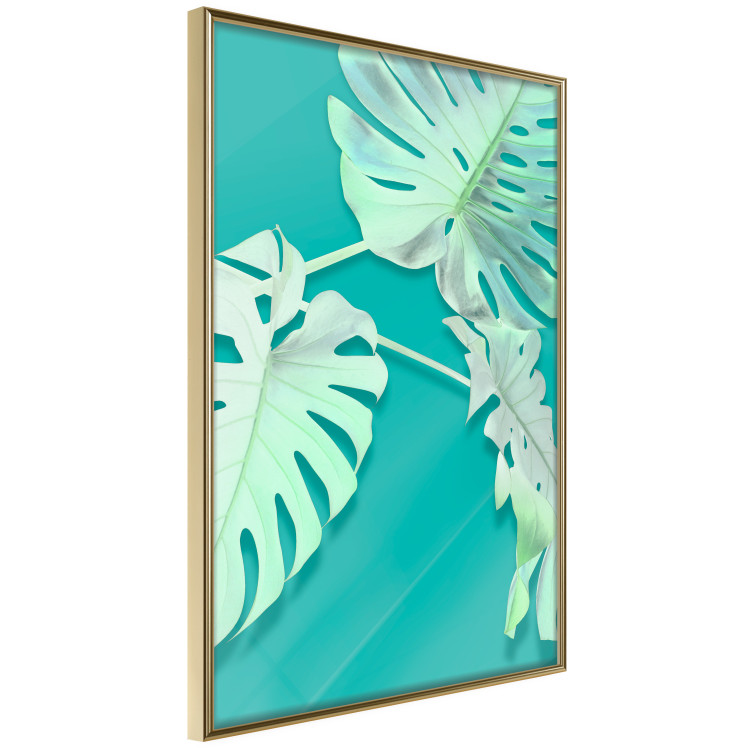 Wall Poster Mint Monstera - green monstera leaves on a mint-colored background 122620 additionalImage 13