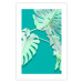 Wall Poster Mint Monstera - green monstera leaves on a mint-colored background 122620 additionalThumb 24