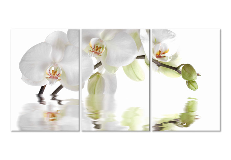 Canvas Art Print Water Orchid (3-part) - Flower Branch in White Natural Shade 123420