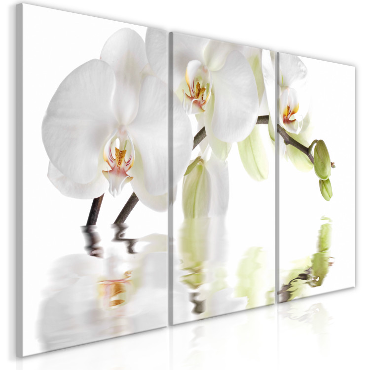 Canvas Art Print Water Orchid (3-part) - Flower Branch in White Natural Shade 123420 additionalImage 2