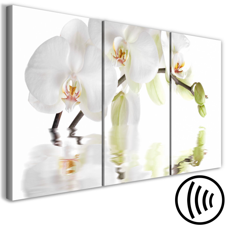 Canvas Art Print Water Orchid (3-part) - Flower Branch in White Natural Shade 123420 additionalImage 6