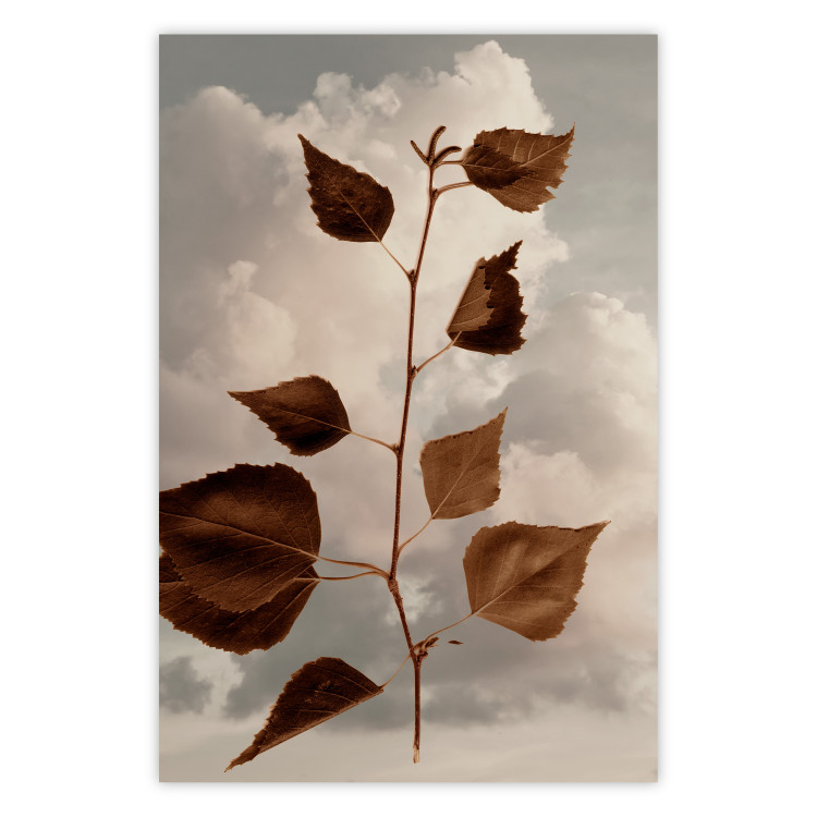 Wall Poster September - plant with brown leaves against sky and clouds in sepia 123620