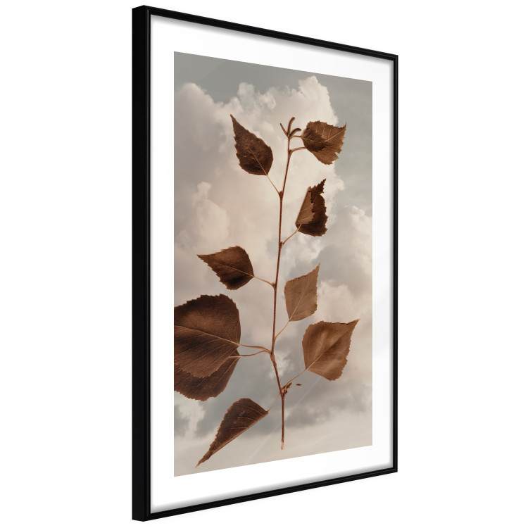 Wall Poster September - plant with brown leaves against sky and clouds in sepia 123620 additionalImage 11
