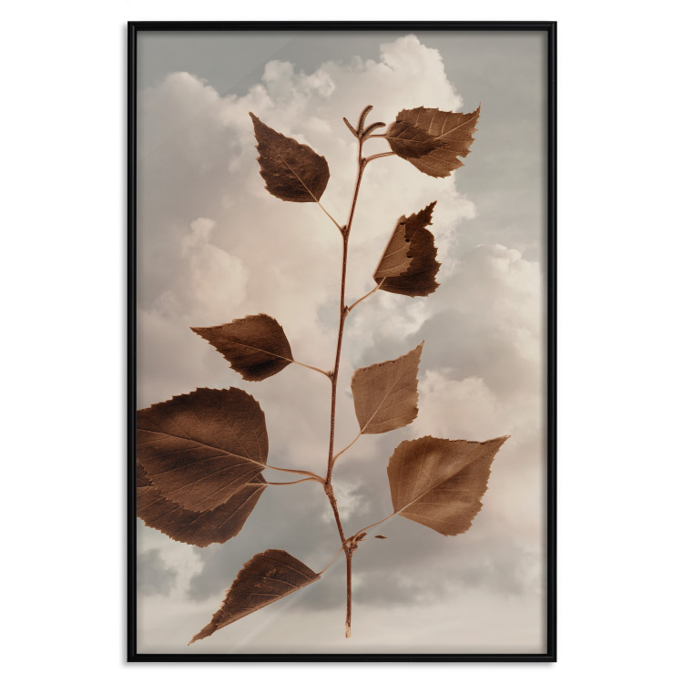 Wall Poster September - plant with brown leaves against sky and clouds in sepia 123620 additionalImage 18