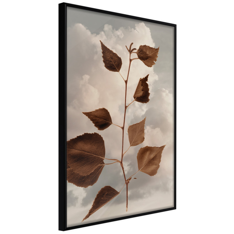 Wall Poster September - plant with brown leaves against sky and clouds in sepia 123620 additionalImage 10