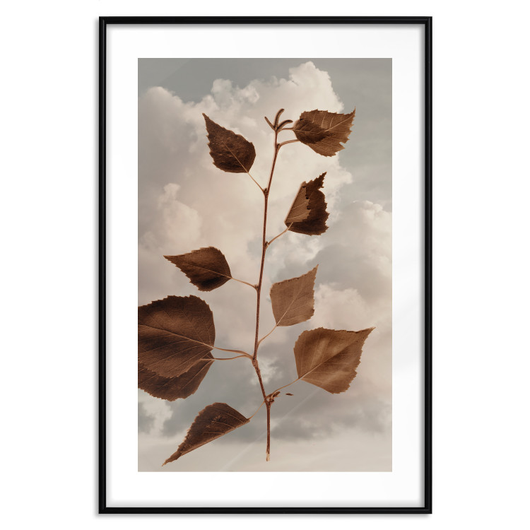 Wall Poster September - plant with brown leaves against sky and clouds in sepia 123620 additionalImage 15