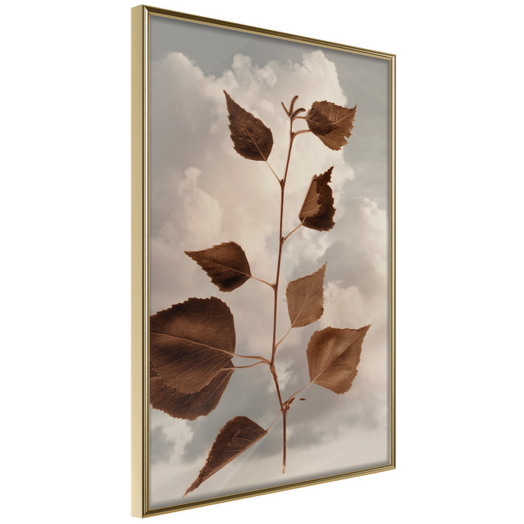 Wall Poster September - plant with brown leaves against sky and clouds in sepia 123620 additionalImage 12